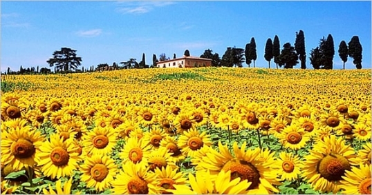 Travel Itineraries
